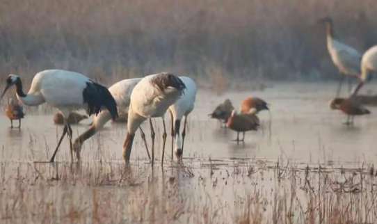 1565576879130222.png image.png